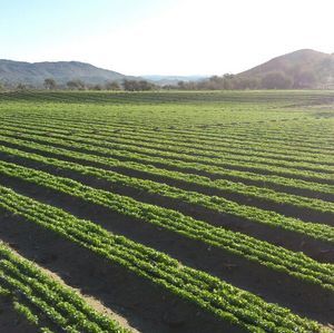 Meet your Posher, Humberto